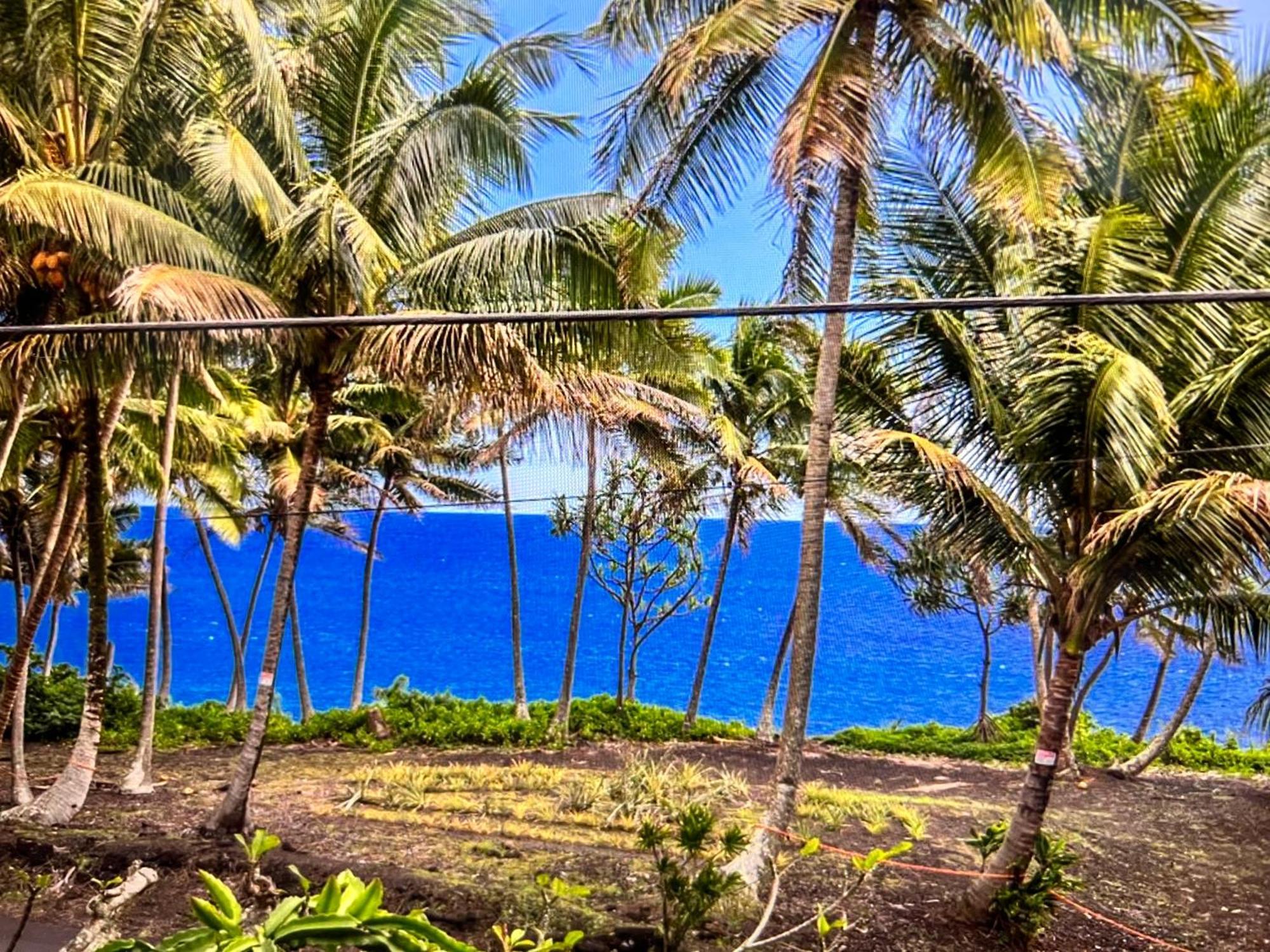 The Bali House And Cottage At Kehena Beach Hawaii Bagian luar foto